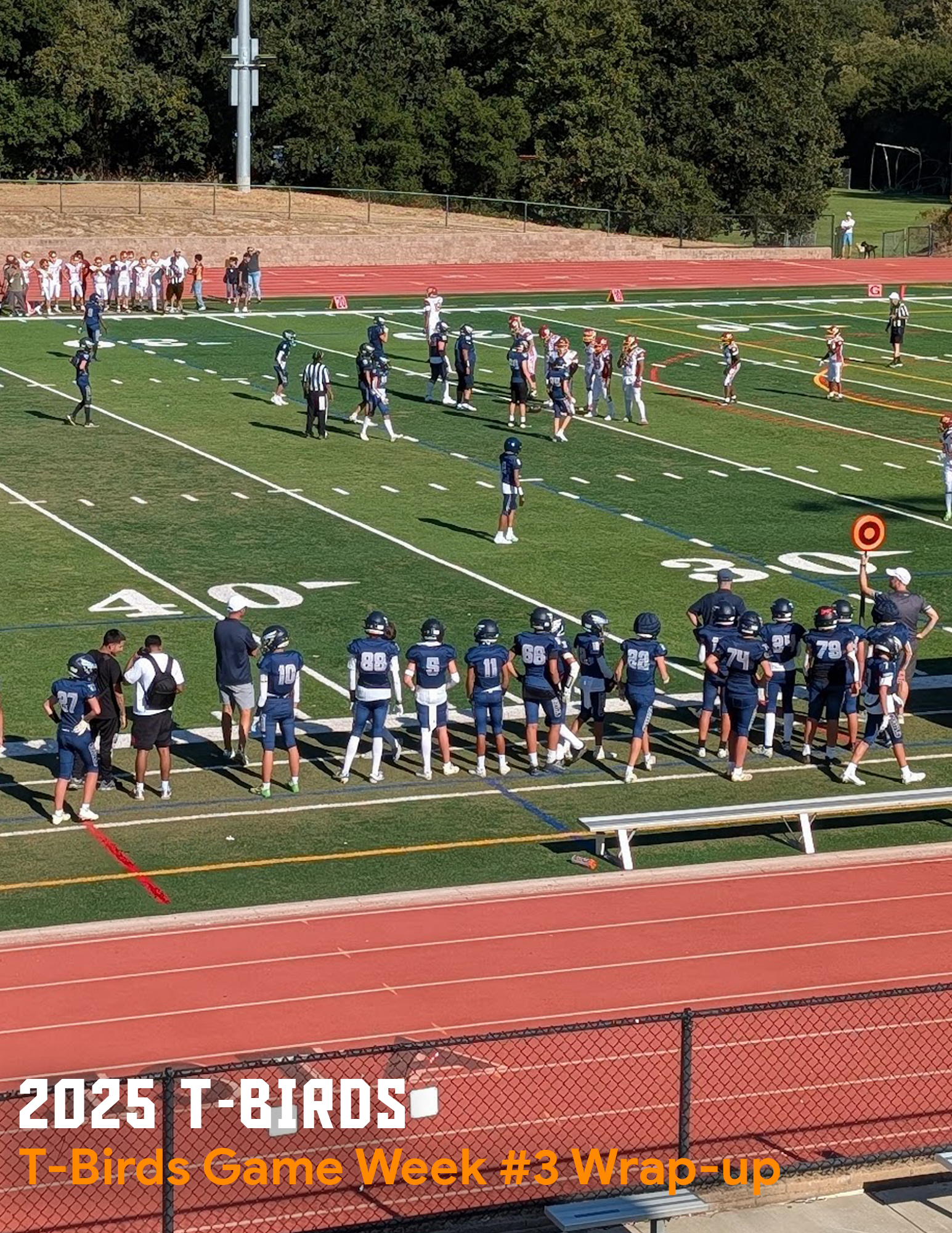T-Bird Week #3 Wrap-up and Week #4 WHITEOUT